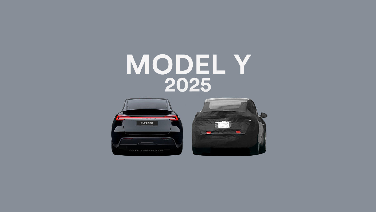 End of Lithium Batteries? 2025 Model Y May Feature Aluminum-Ion Batteries