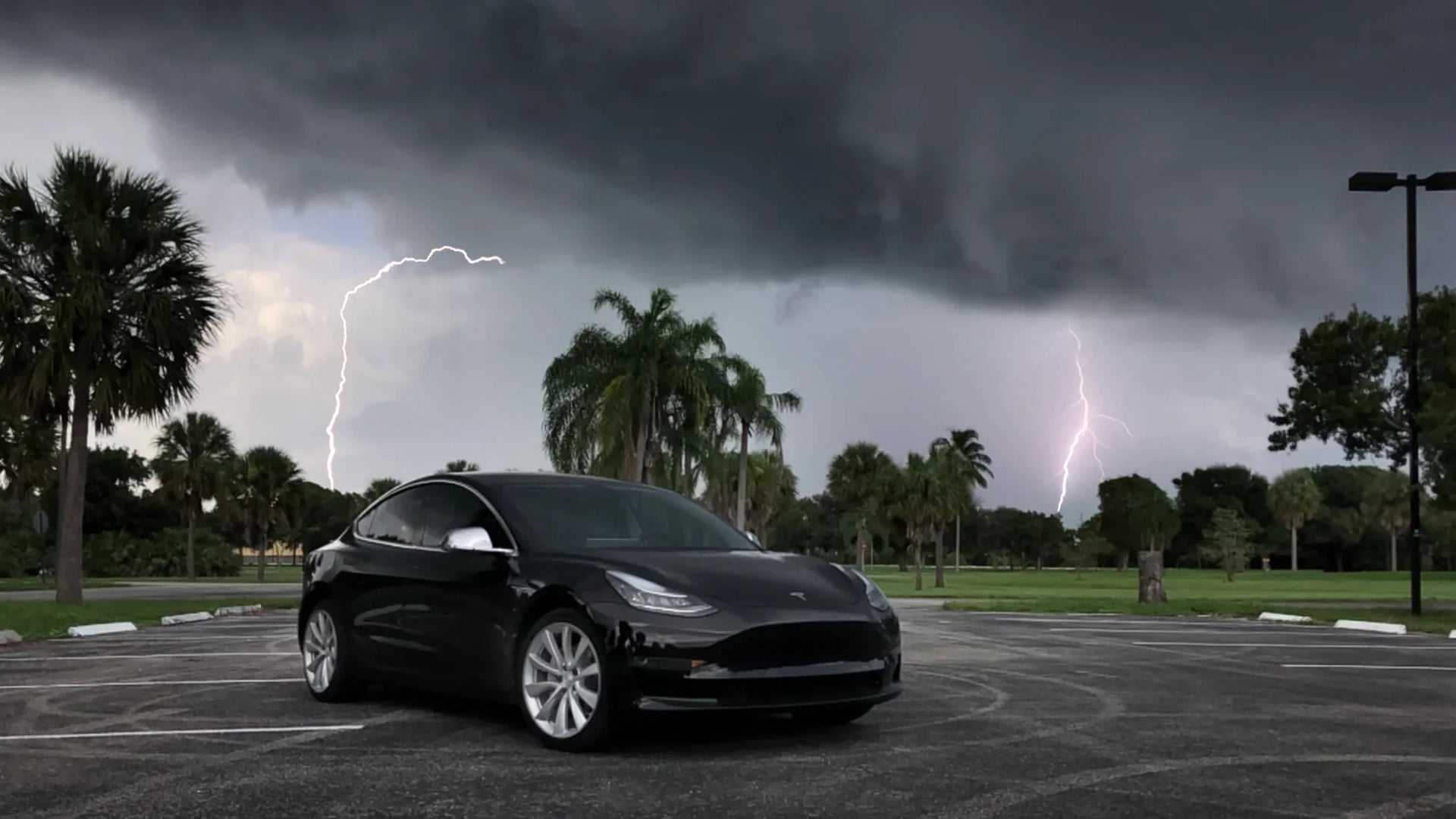 Tesla Bad Weather Accessories