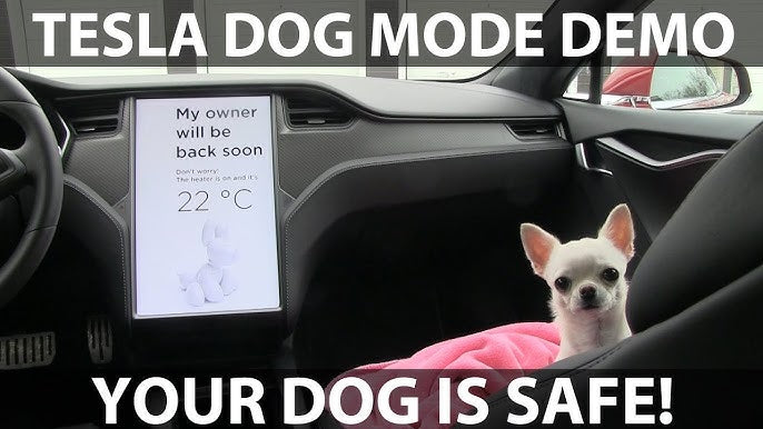 Tesla Dog Mode: How to Keep Your Pet Safe and Comfortable