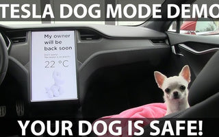 Tesla Dog Mode: How to Keep Your Pet Safe and Comfortable