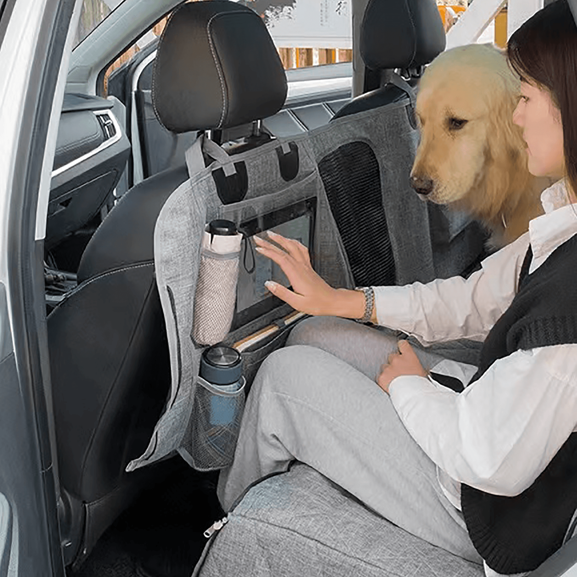 Housse de siège pour chien pour animaux de compagnie 100 % étanche pour  Tesla Model S3XY - Fenêtre en maille visible (2012-2023)